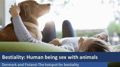 zooporn|Free Animal Porn Videos and Bestiality Clips